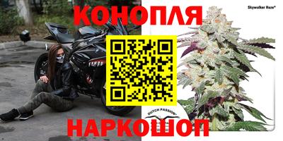 СК Волжск