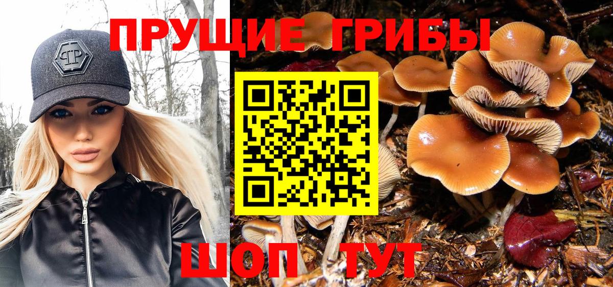 Галлюциногенные грибы мицелий Можайск
